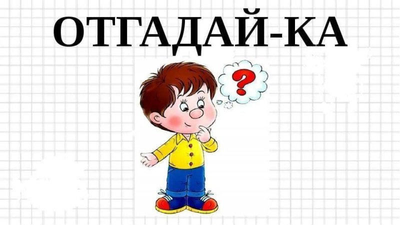 Загадки для детей с картинками