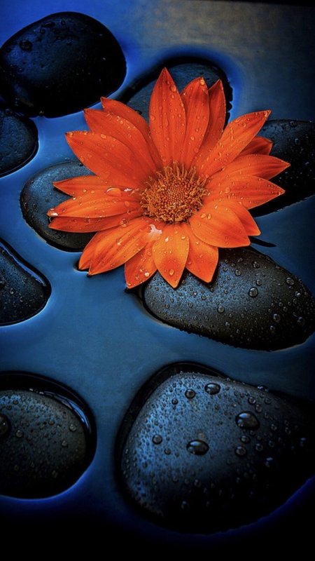 Шикарные темы для телефона