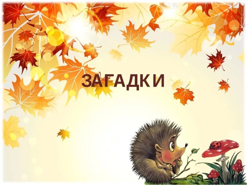 Загадки про осень