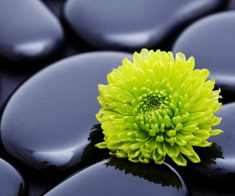 Фоновый рисунок для рабочего стола