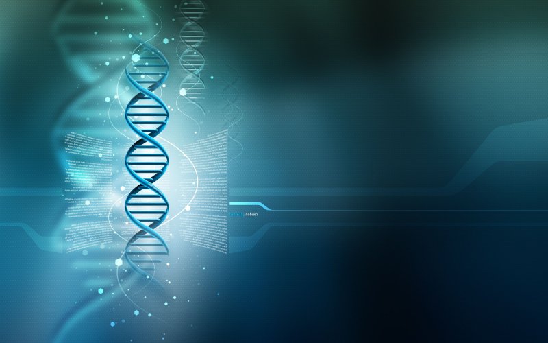 Цепочка ДНК DNA