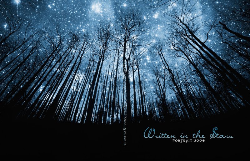 Звездное небо ночью