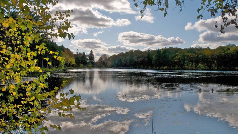 Вешняки Балашиха озеро