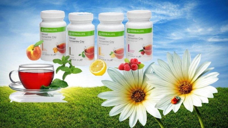 Лето Гербалайф