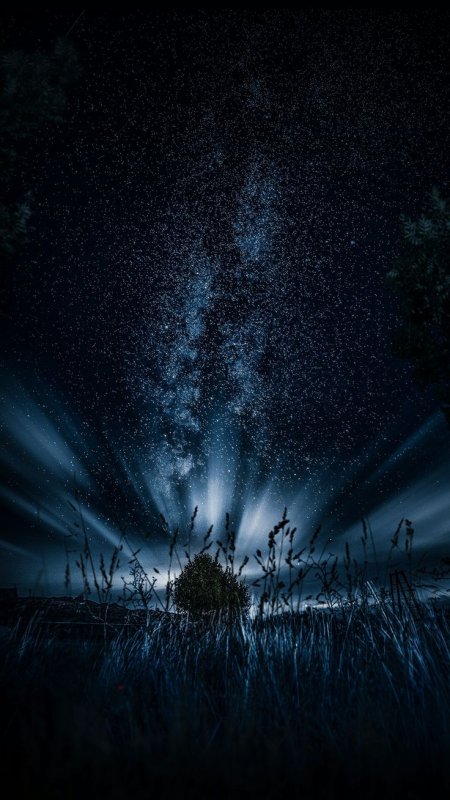 Мрачные обои на телефон вертикальные