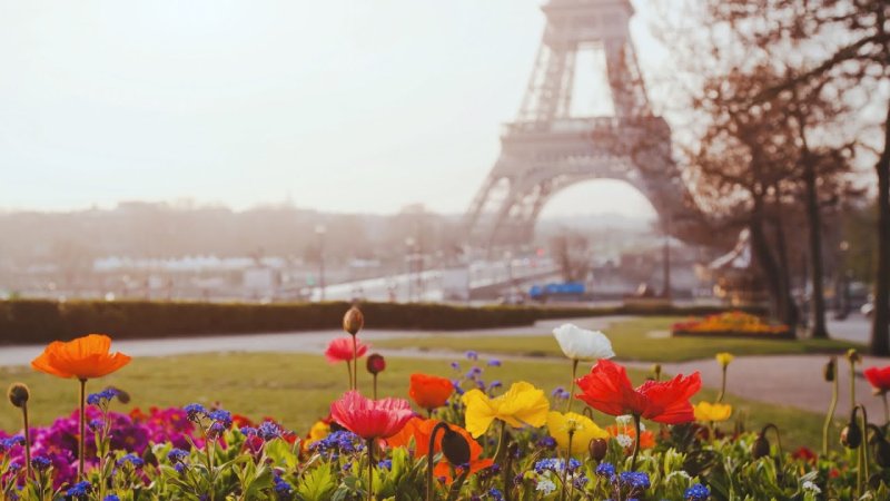 Эйфелева башня Франция цветы