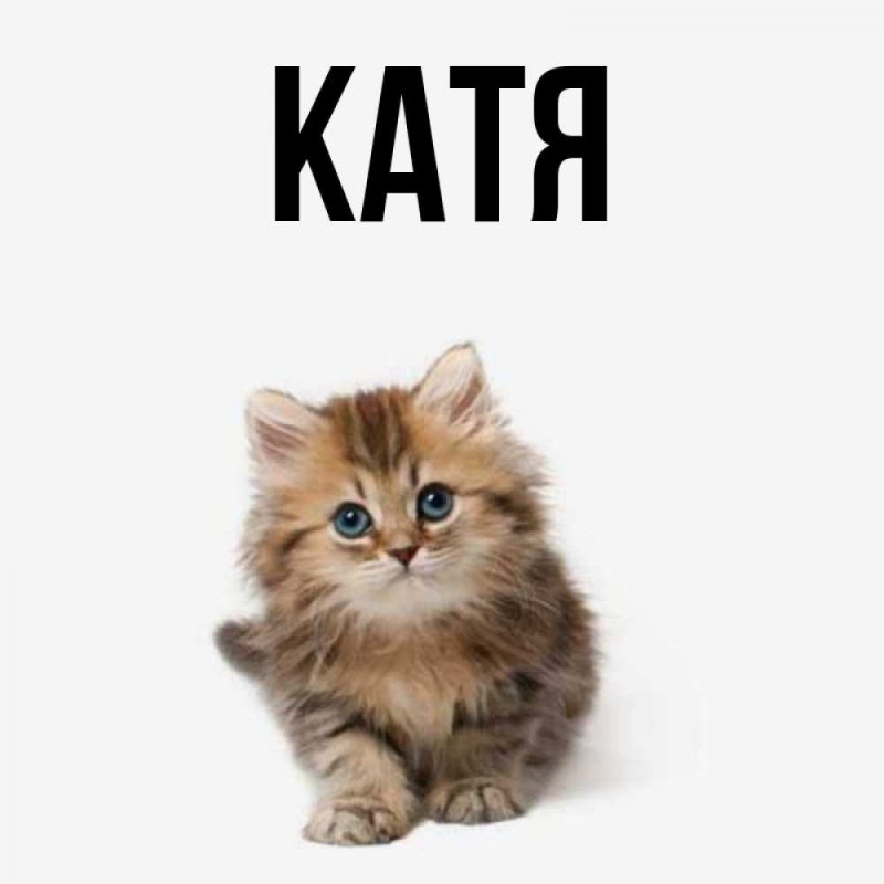 Обои с именем Катя