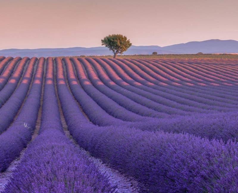 Плато Валенсоль