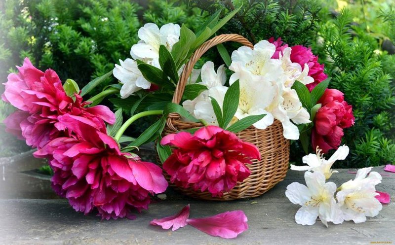 Корзина с весенними цветами
