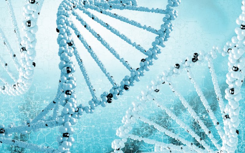 Заставка на рабочий стол биология