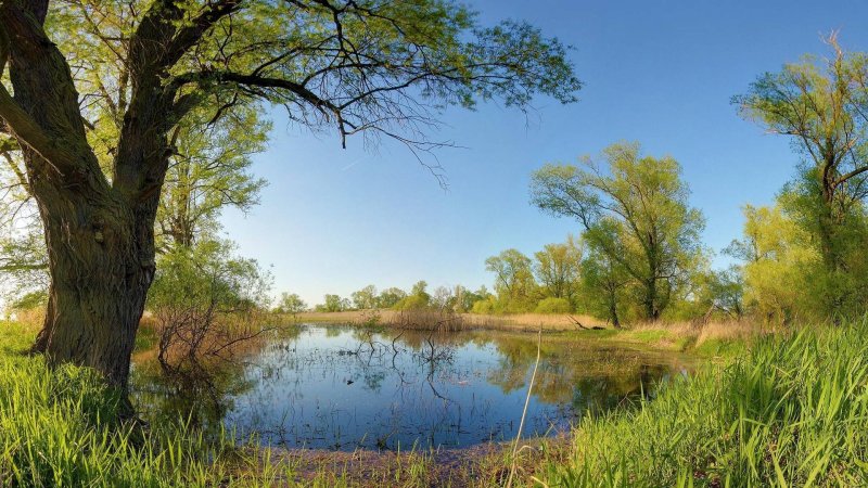 Весенний пейзаж