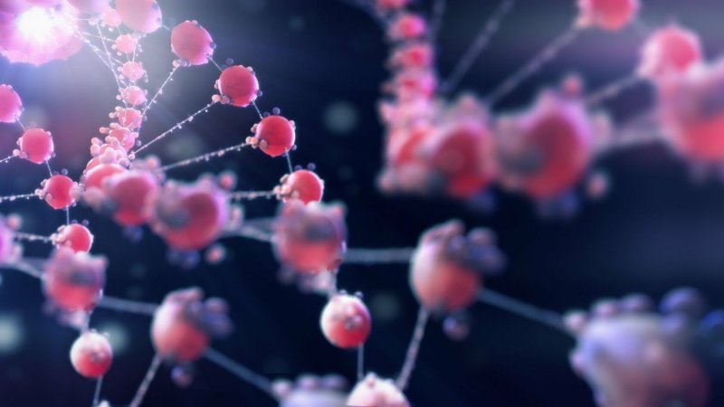 Генетика фон