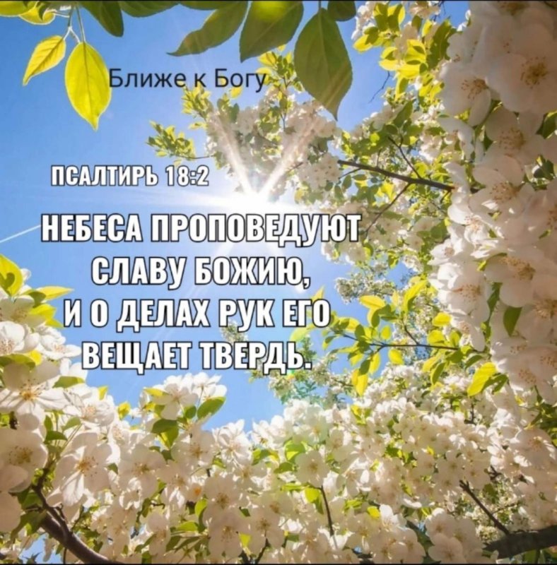 Солнечный день