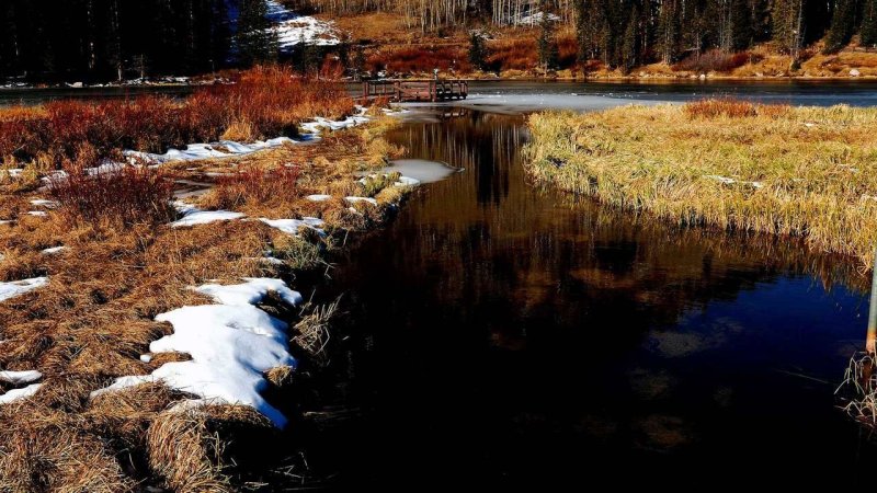 Красивые пейзажи ранней весны