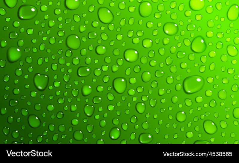 Салатовый фон