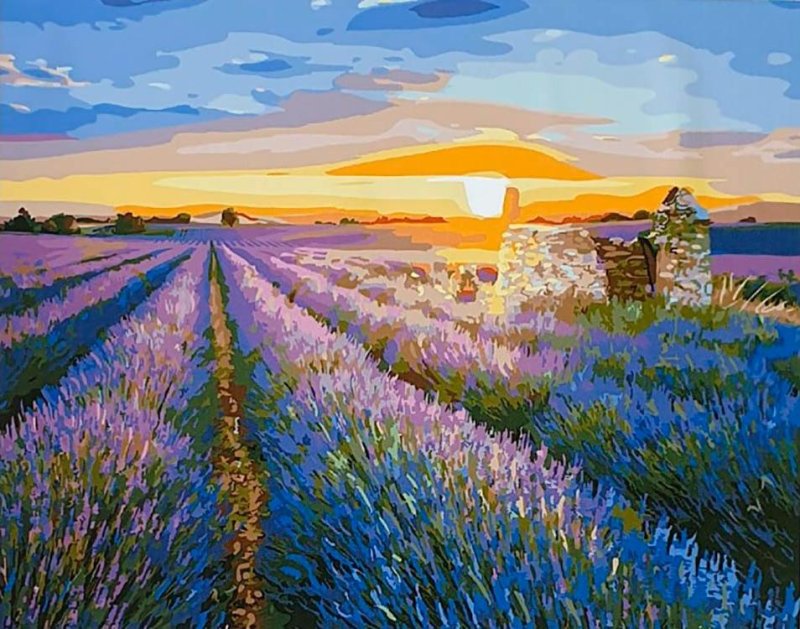 Авиньон Франция Лавандовые поля