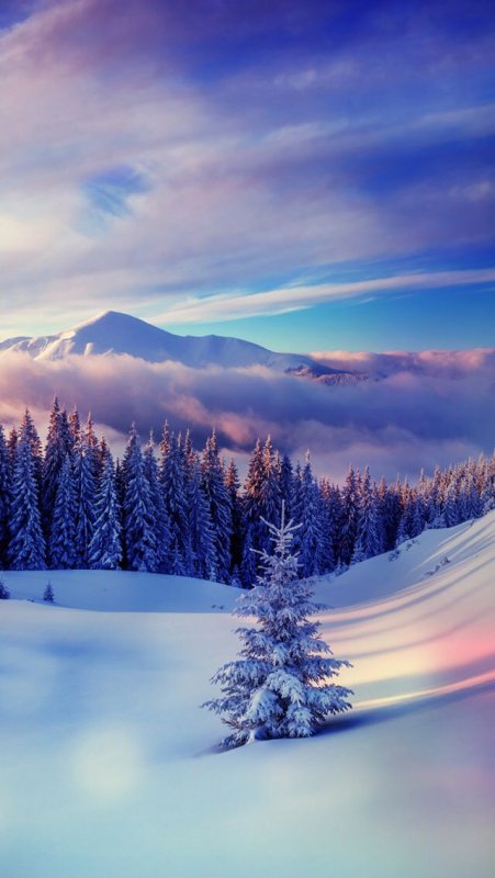 Зима пейзаж