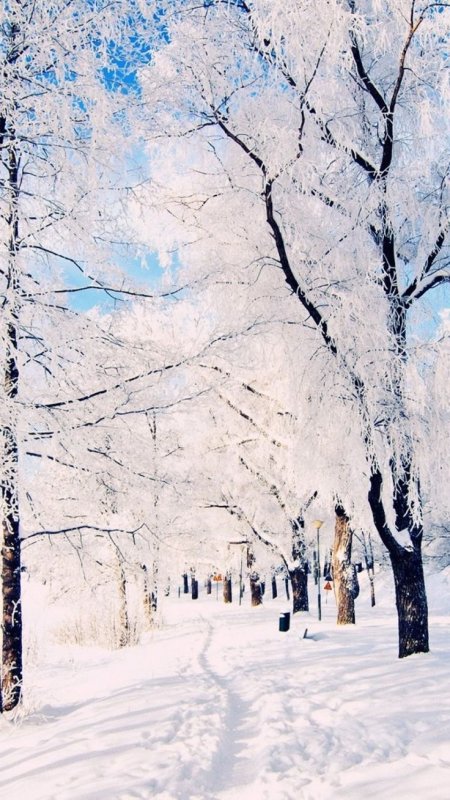 Зимний пейзаж в городе