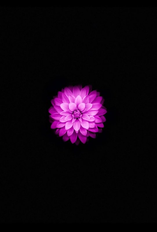 Заставка на айфон