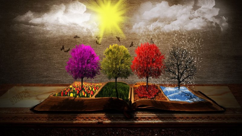 4 Сезона года