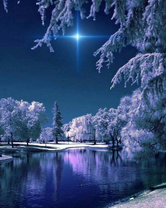 Красивая зима