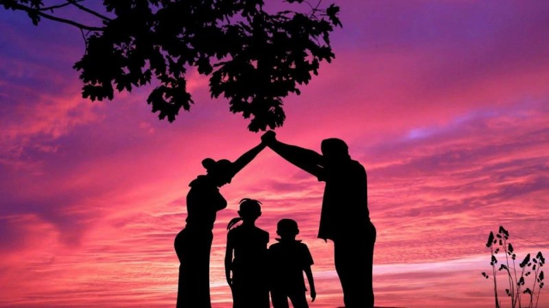 Красивые силуэты семьи