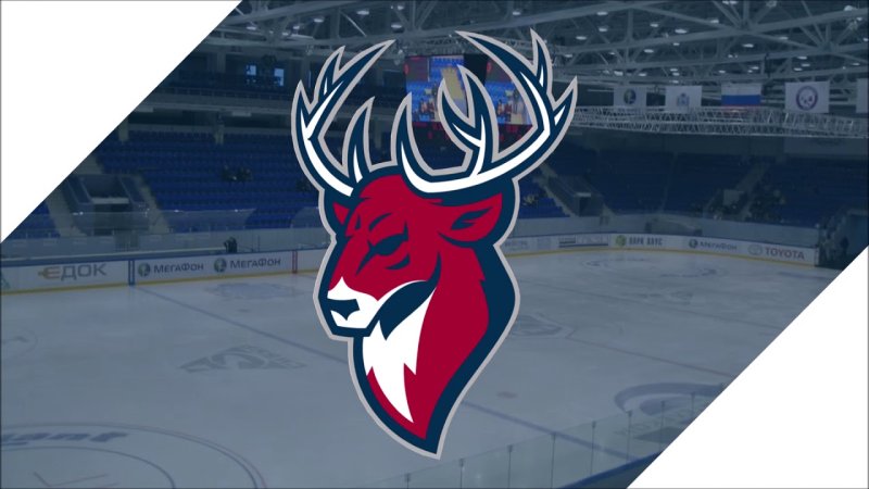 Хк Торпедо Нижний Новгород обои