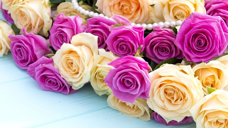 Роскошные цветы