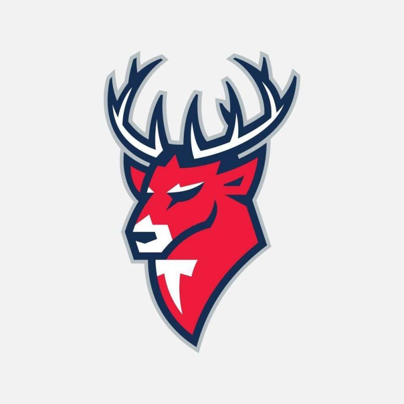 Эмблема Торпедо Нижний Новгород хоккейный клуб