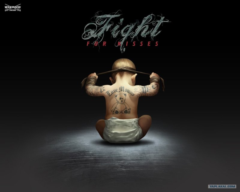 Прикольные обои