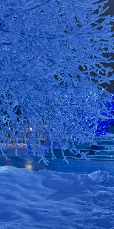 Новогодняя зима