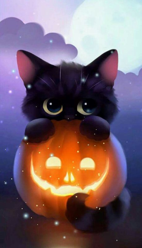 Рихард Донскис котики