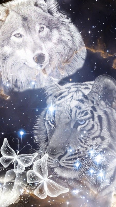 Тигр Лев и волк