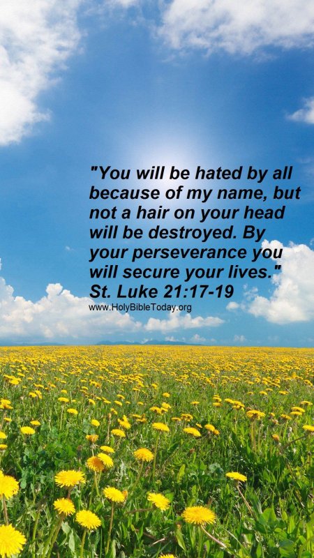 Солнечное лето