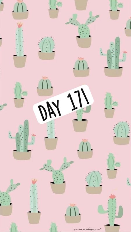 Милые кактусы