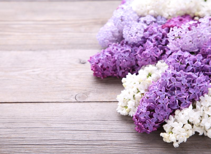 Сиреневые цветы