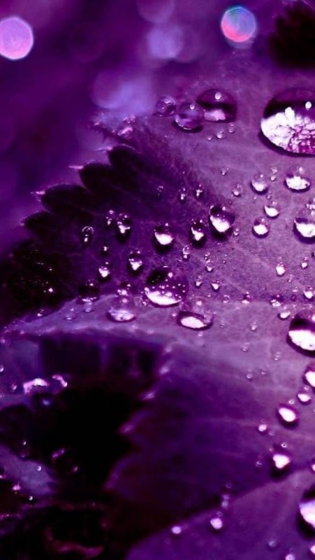 Фон для телефона