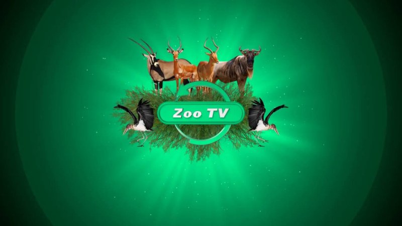 Зоо ТВ
