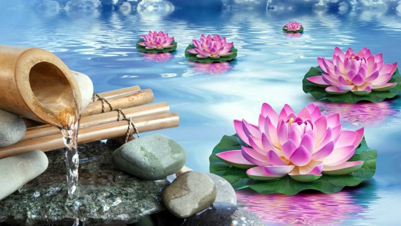 Заставка фен шуй