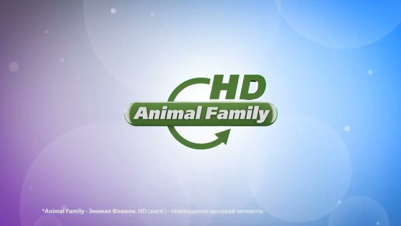 Телеканал Энимал Фэмили
