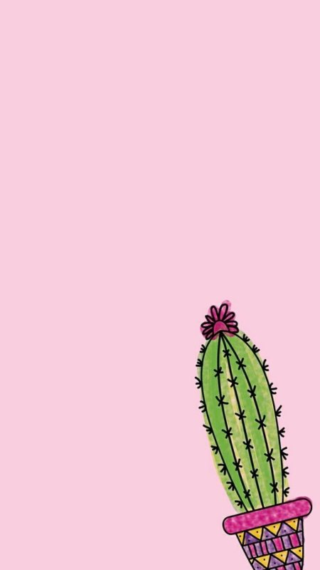 Фон кактусы