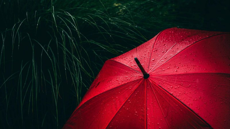 Зонтики яркие