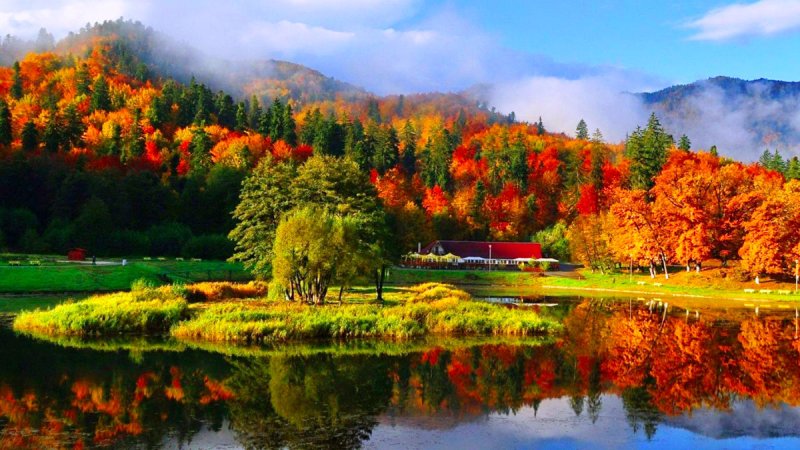 Красивые пейзажи осени