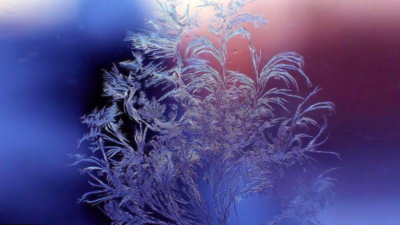 Бальмонт морозные узоры