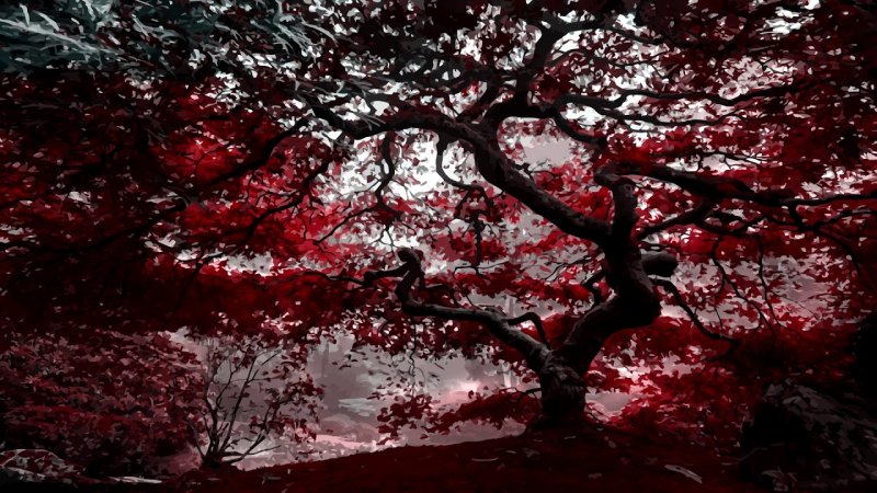 Мрачное дерево