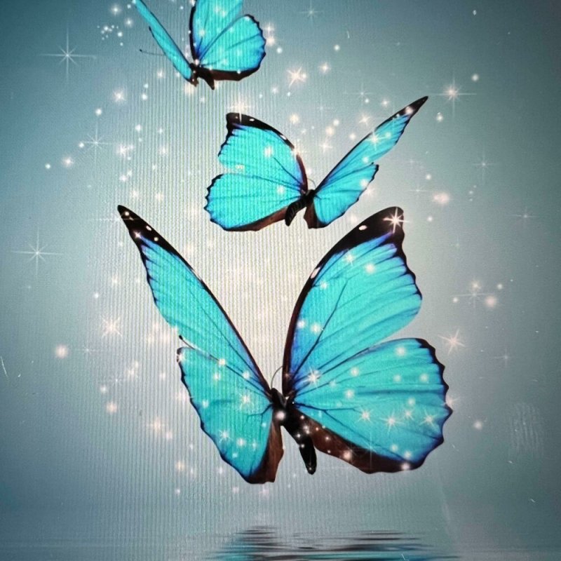 Хуавей хонор 20s