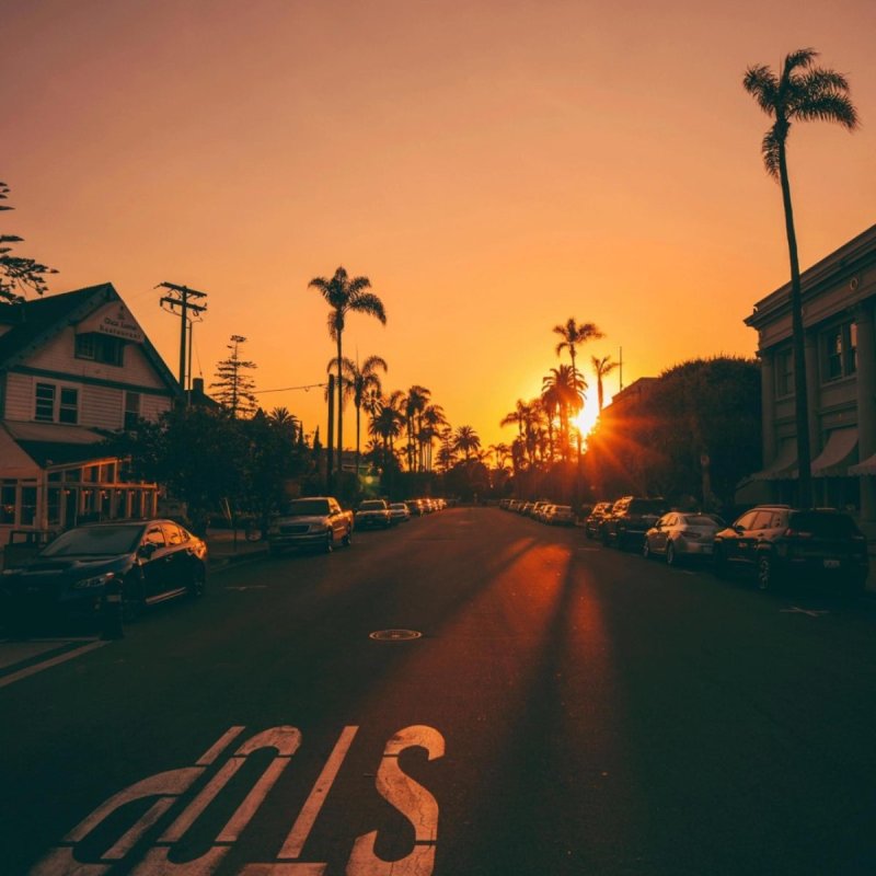 Лос Анджелес Калифорния пальмы