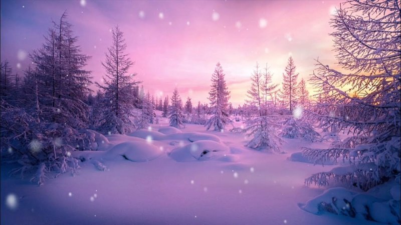 Зимняя природа