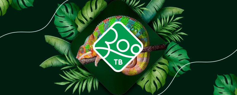 Заставка телепередачи