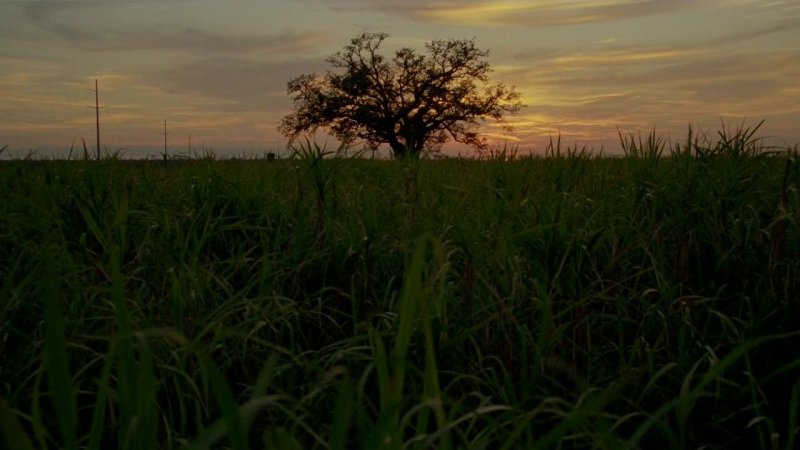 Луизиана настоящий детектив